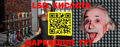 индика Гусев