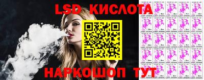 индика Гусев