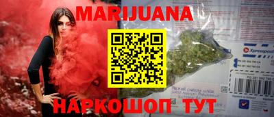 индика Гусев