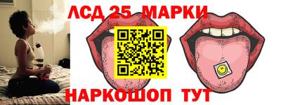 индика Гусев