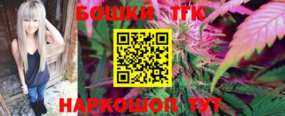 индика Гусев