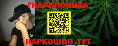 индика Гусев