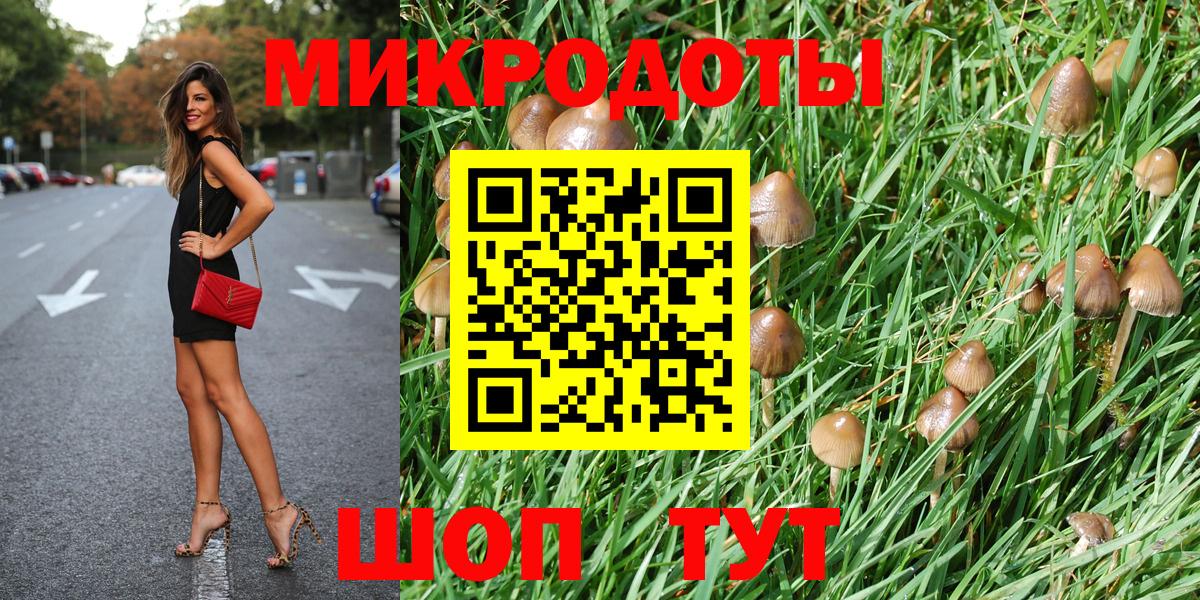 купить  сайты  Галлюциногенные грибы прущие грибы  Можга  Вход с VPN  Галлюциногенные грибы GOLDEN TEACHER 